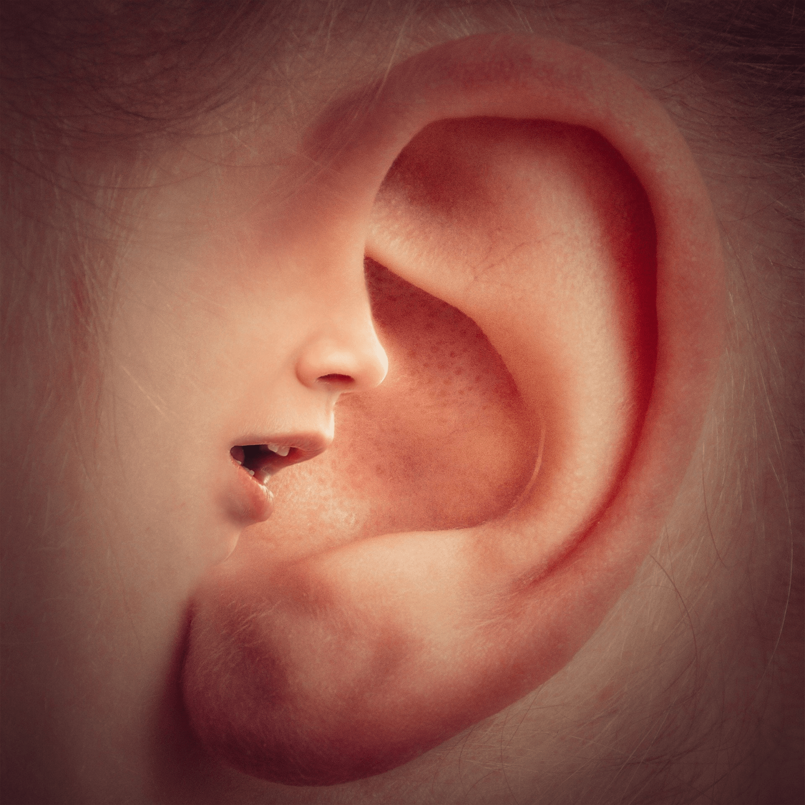 Hearing Tests Comprehensive Assessments at Hearing Point